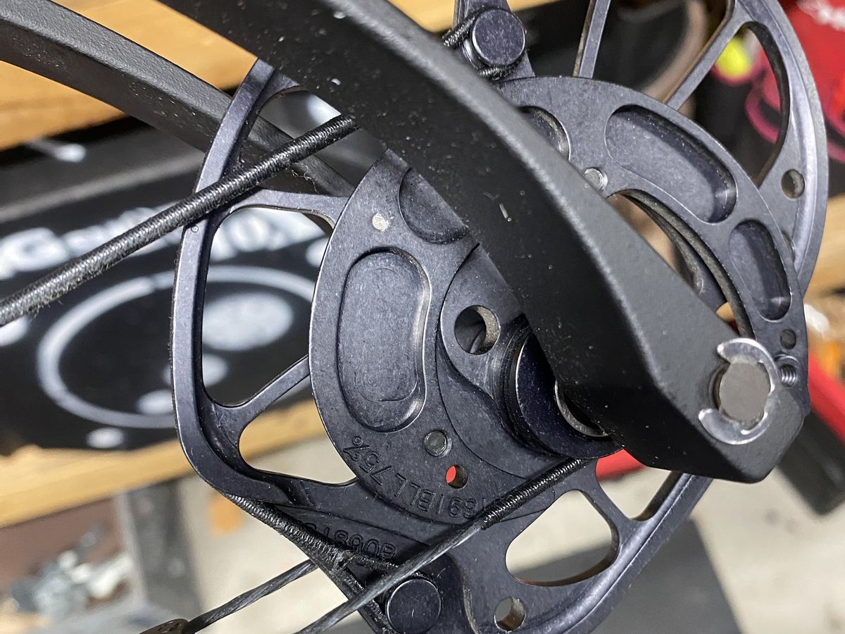 Close-up of a compound bow cam with its limb, string and cable